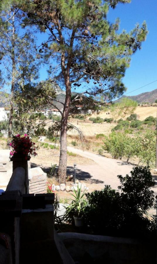 Casa Vacanza Il Mandorlo Domusnovas Eksteriør billede